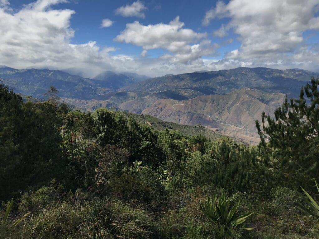 Colombia Galeras Decaf - 250g