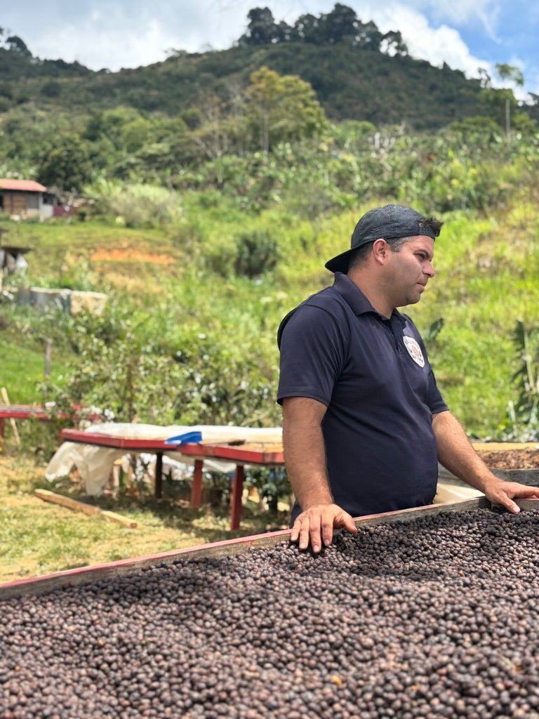 Costa Rica Placeres del Llano Honey - 250g