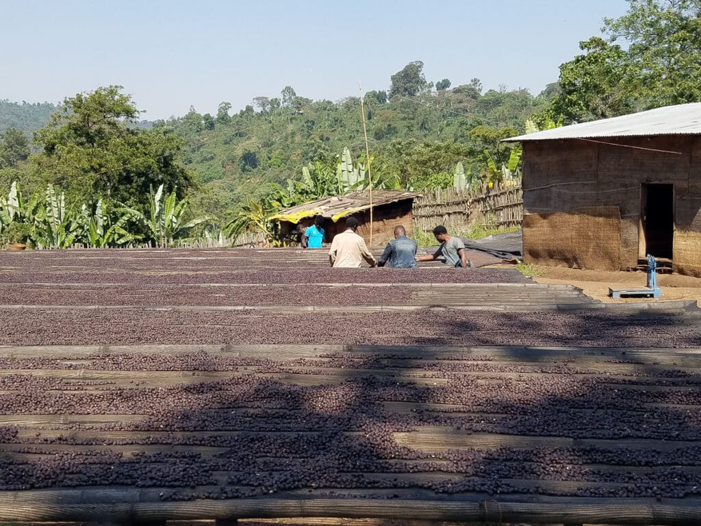 Julkaffe 2025 Etiopien Aricha Natural - 250 g