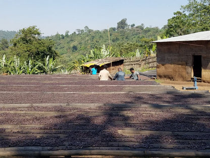 Julkaffe 2025 Etiopien Aricha Natural - 250 g