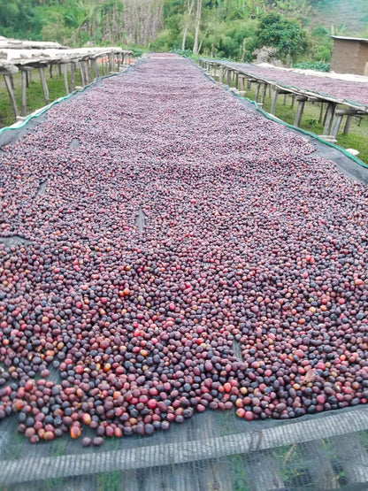 Julkaffe 2025 Etiopien Aricha Natural - 250 g