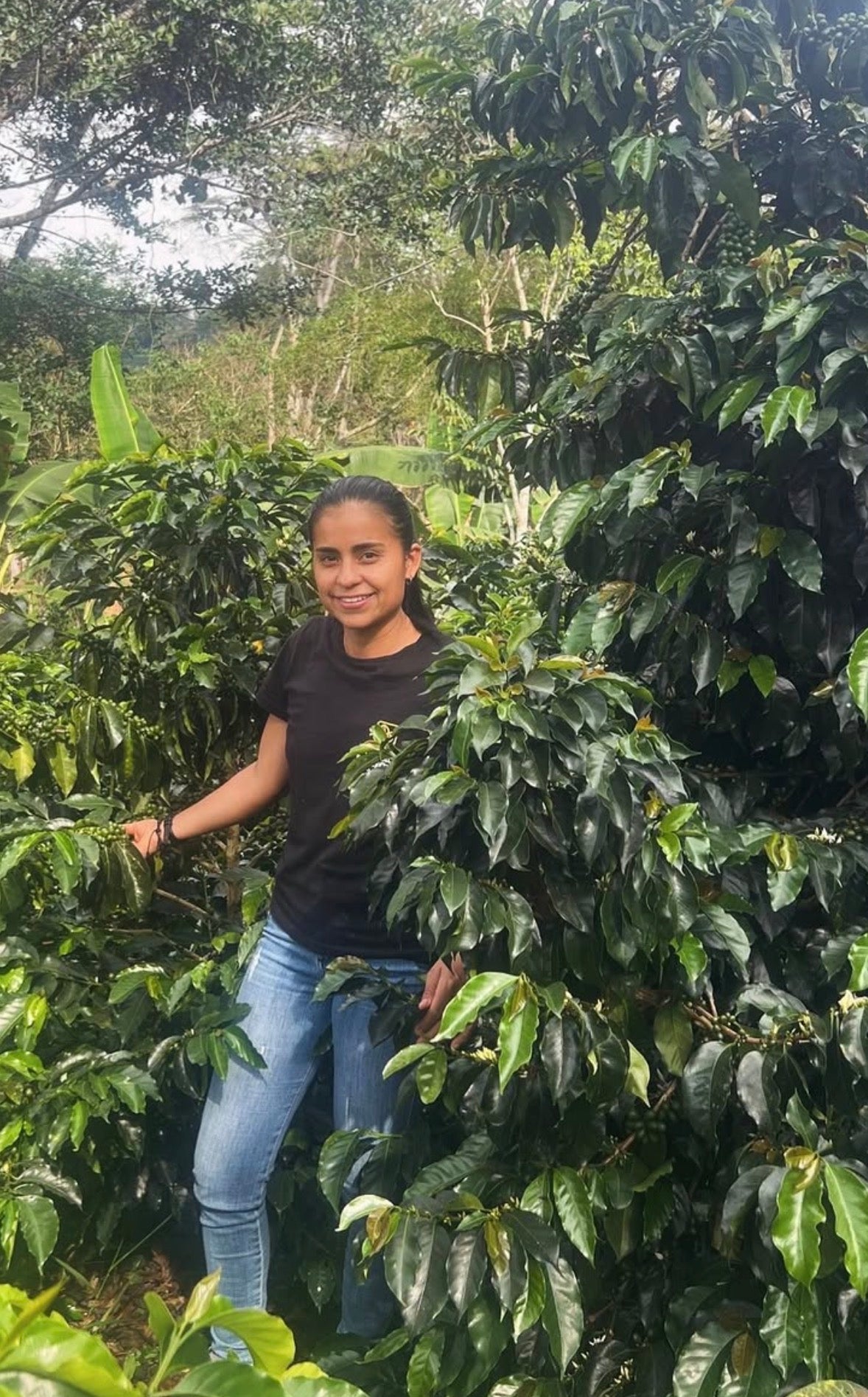 Colombia Villa Pastora Ombligon - 250g