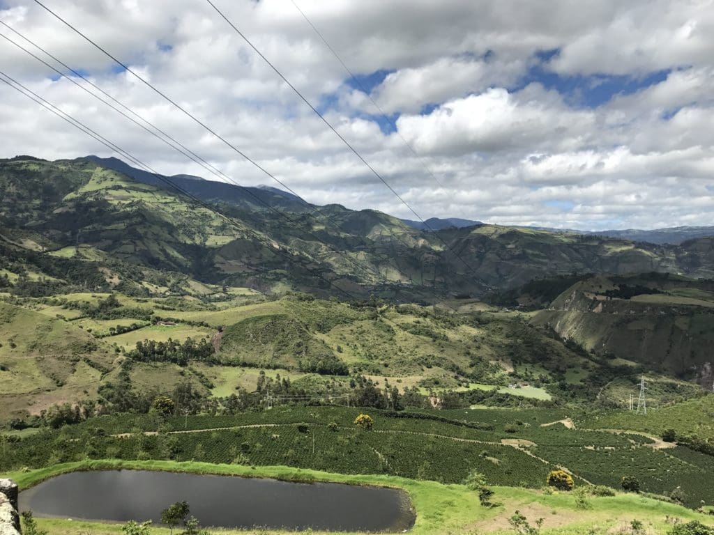Colombia El Obraje Caturra - Pablo Guerrero 250g